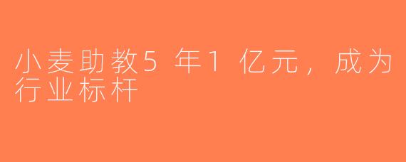 小麦助教5年1亿元，成为行业标杆