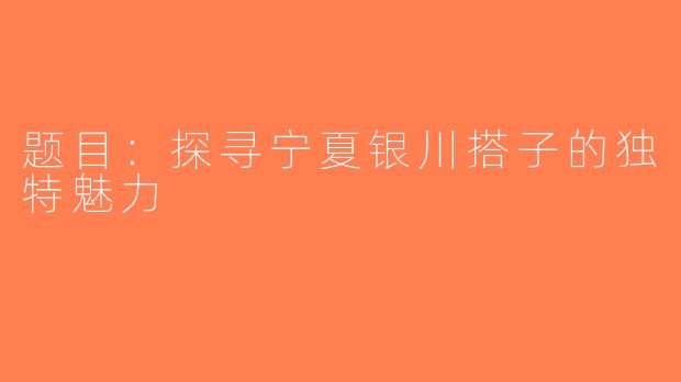 题目：探寻宁夏银川搭子的独特魅力
