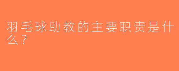 羽毛球助教的主要职责是什么？