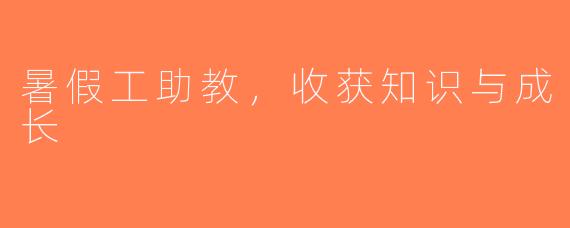 暑假工助教，收获知识与成长