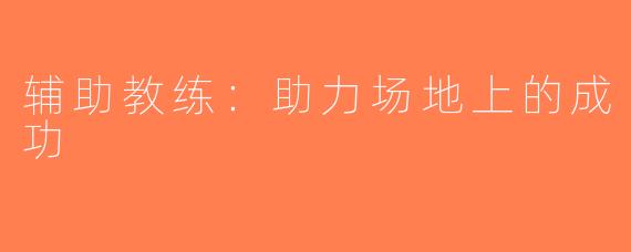 辅助教练：助力场地上的成功