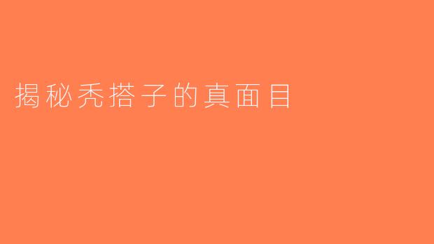 揭秘秃搭子的真面目