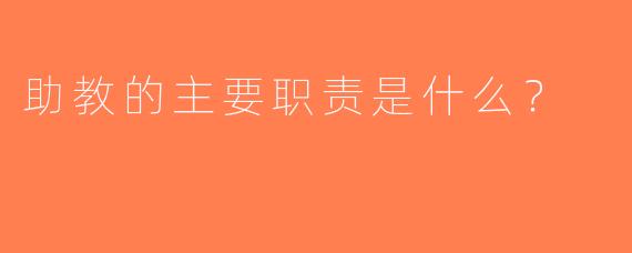 助教的主要职责是什么？  