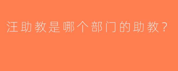 汪助教是哪个部门的助教？