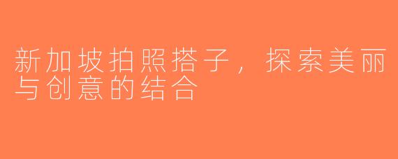 新加坡拍照搭子，探索美丽与创意的结合