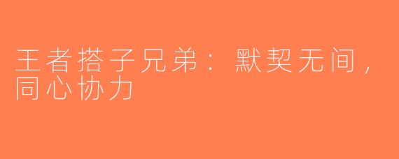 王者搭子兄弟：默契无间，同心协力