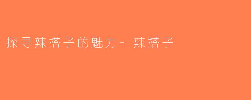 探寻辣搭子的魅力-辣搭子