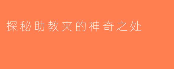 探秘助教夹的神奇之处