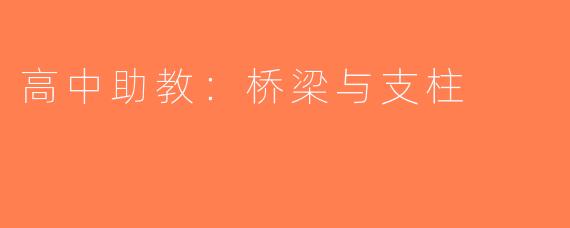 高中助教：桥梁与支柱