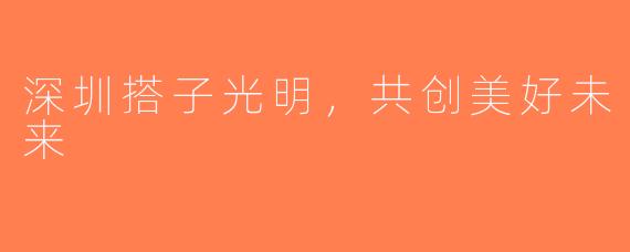 深圳搭子光明，共创美好未来
