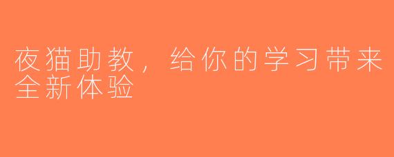 夜猫助教，给你的学习带来全新体验