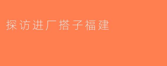 探访进厂搭子福建