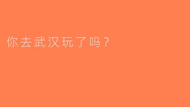 你去武汉玩了吗？
