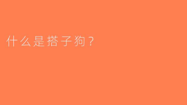 什么是搭子狗？