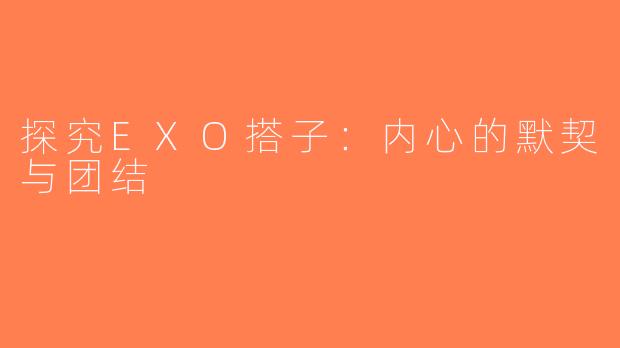 探究EXO搭子：内心的默契与团结