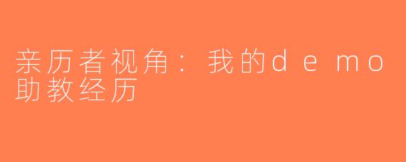 亲历者视角：我的demo助教经历