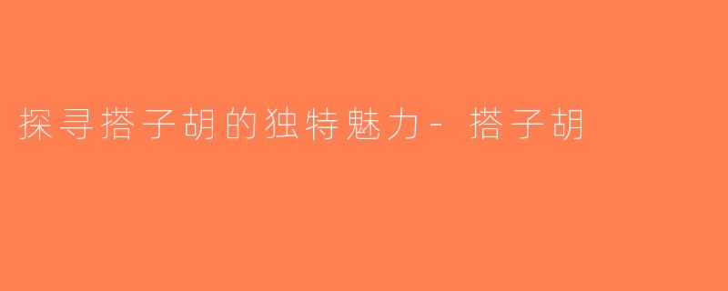 探寻搭子胡的独特魅力-搭子胡