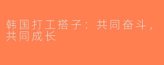 韩国打工搭子：共同奋斗，共同成长