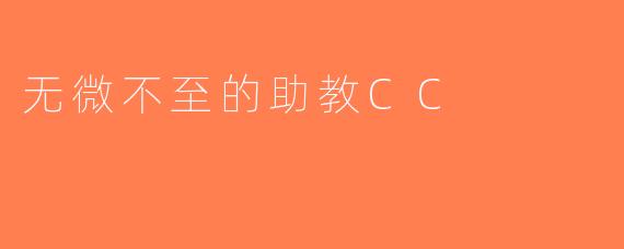 无微不至的助教CC