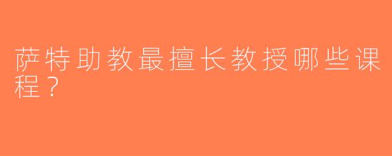萨特助教最擅长教授哪些课程？