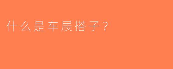 什么是车展搭子？