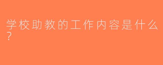 学校助教的工作内容是什么？  