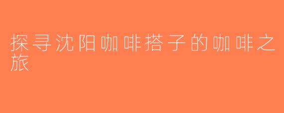 探寻沈阳咖啡搭子的咖啡之旅