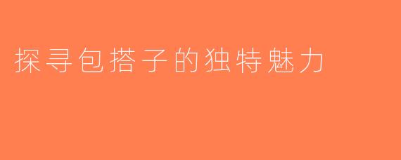 探寻包搭子的独特魅力