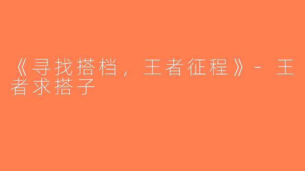 《寻找搭档,王者征程》-王者求搭子