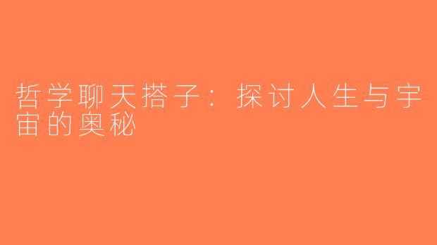 哲学聊天搭子：探讨人生与宇宙的奥秘