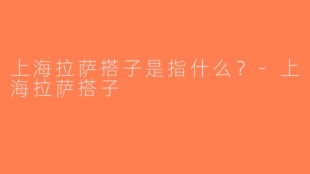 上海拉萨搭子是指什么？-上海拉萨搭子