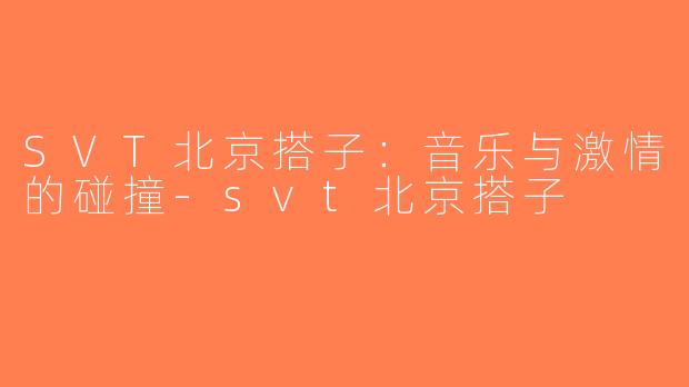 SVT北京搭子：音乐与激情的碰撞-svt北京搭子
