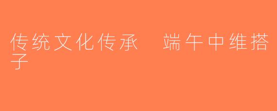 传统文化传承 端午中维搭子