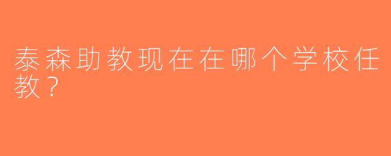 泰森助教现在在哪个学校任教？