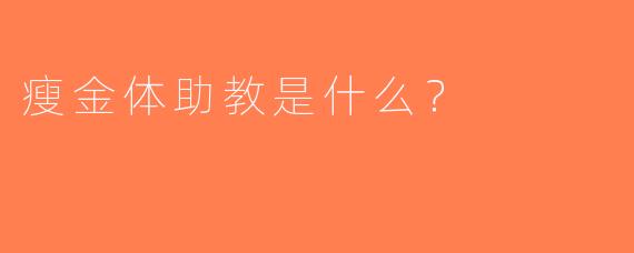 瘦金体助教是什么？