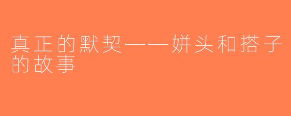 真正的默契——姘头和搭子的故事