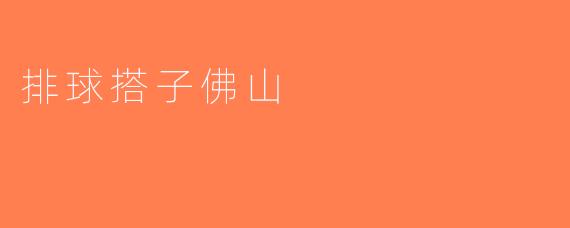 排球搭子佛山