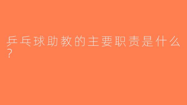 乒乓球助教的主要职责是什么？