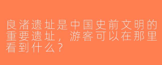 良渚遗址是中国史前文明的重要遗址，游客可以在那里看到什么？