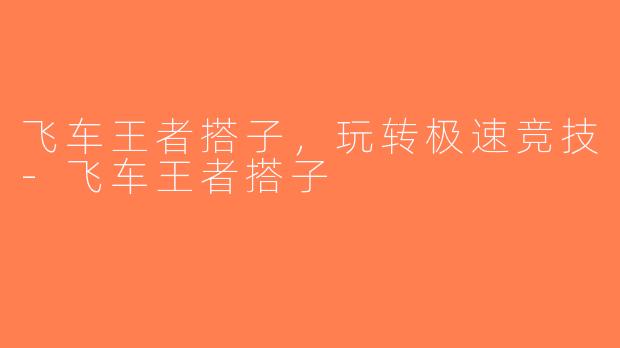 飞车王者搭子，玩转极速竞技-飞车王者搭子