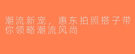 潮流新宠，惠东拍照搭子带你领略潮流风尚