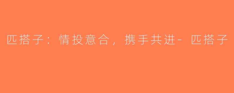 匹搭子：情投意合，携手共进-匹搭子