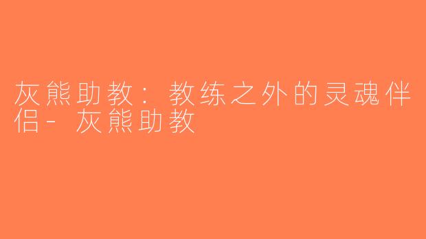 灰熊助教：教练之外的灵魂伴侣-灰熊助教