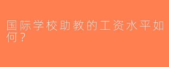 国际学校助教的工资水平如何？
