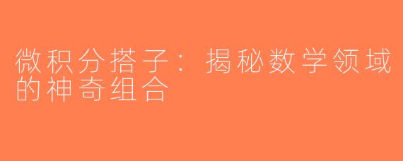 微积分搭子：揭秘数学领域的神奇组合