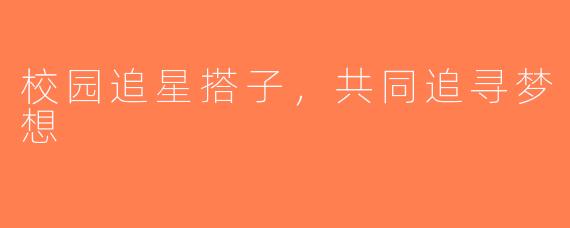 校园追星搭子，共同追寻梦想