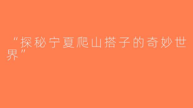 “探秘宁夏爬山搭子的奇妙世界”