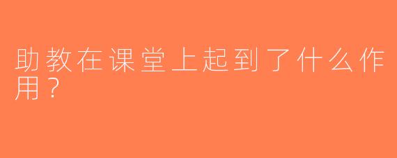 助教在课堂上起到了什么作用？