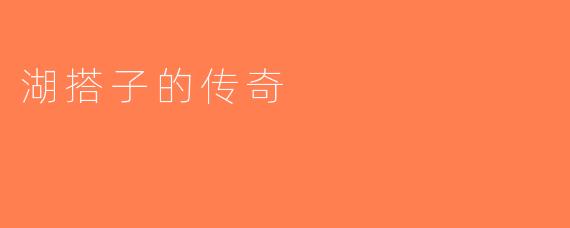 湖搭子的传奇