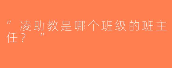 ”凌助教是哪个班级的班主任？“